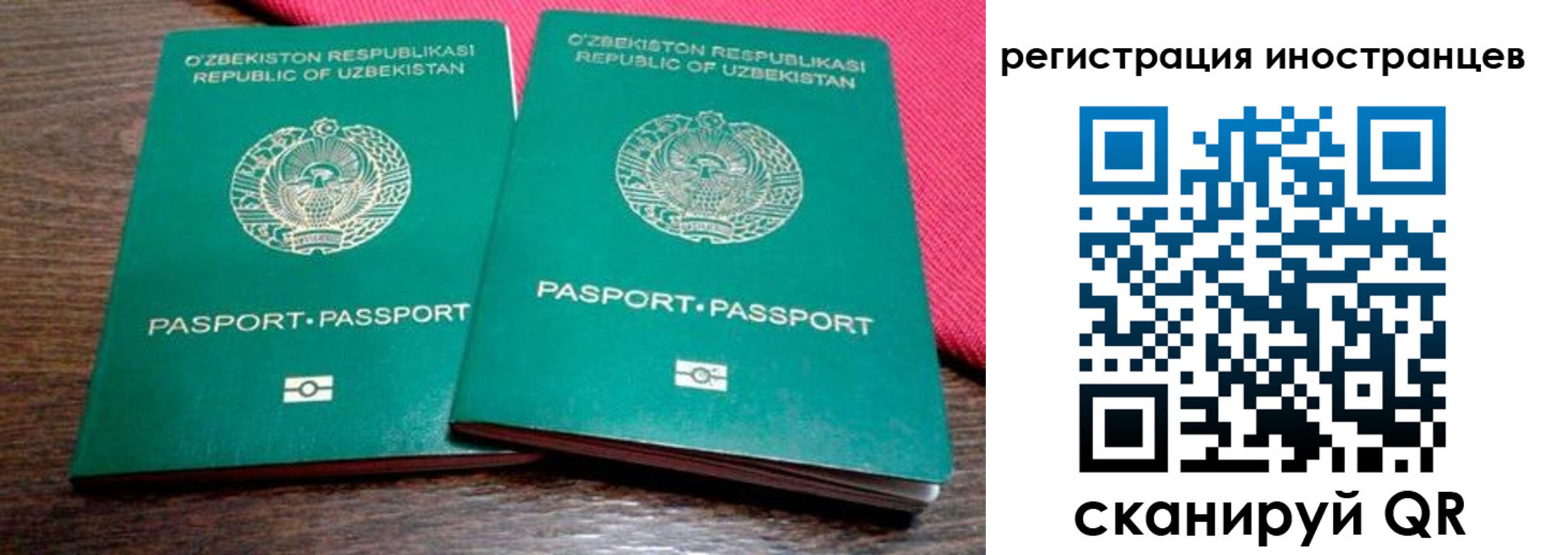 регистрация для школы в Элисте